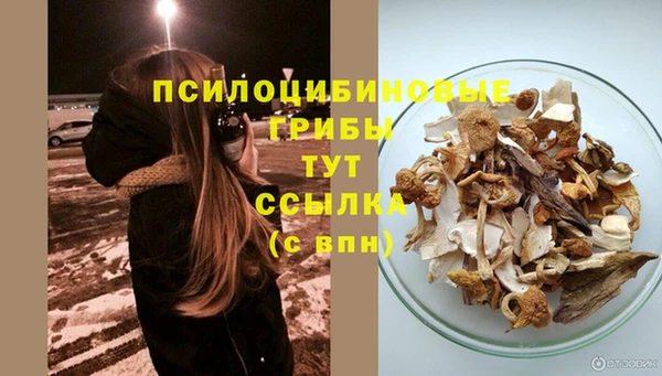 ALPHA-PVP Медногорск