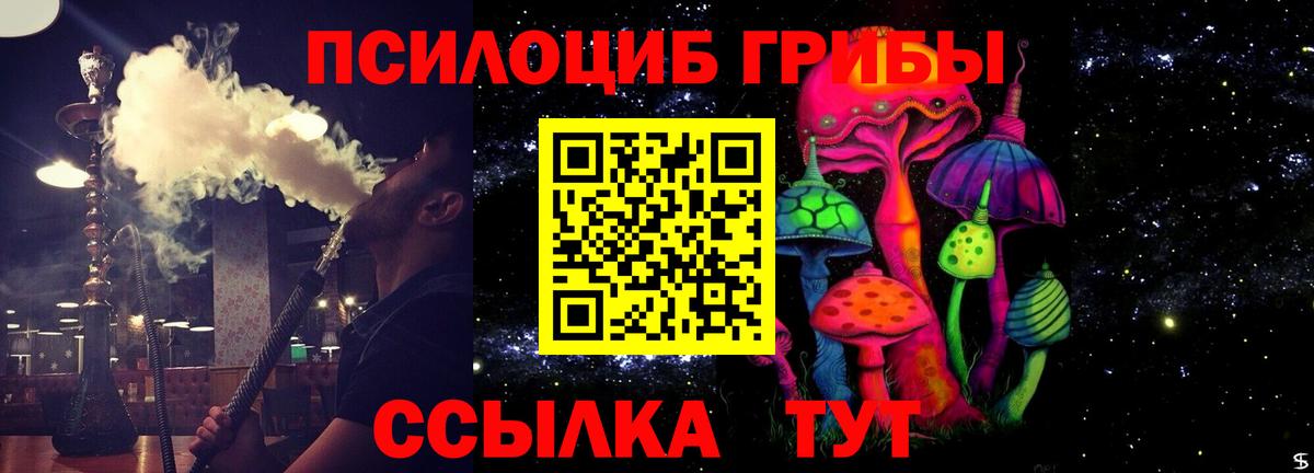 что такое   Усинск  Псилоцибиновые грибы MAGIC MUSHROOMS 