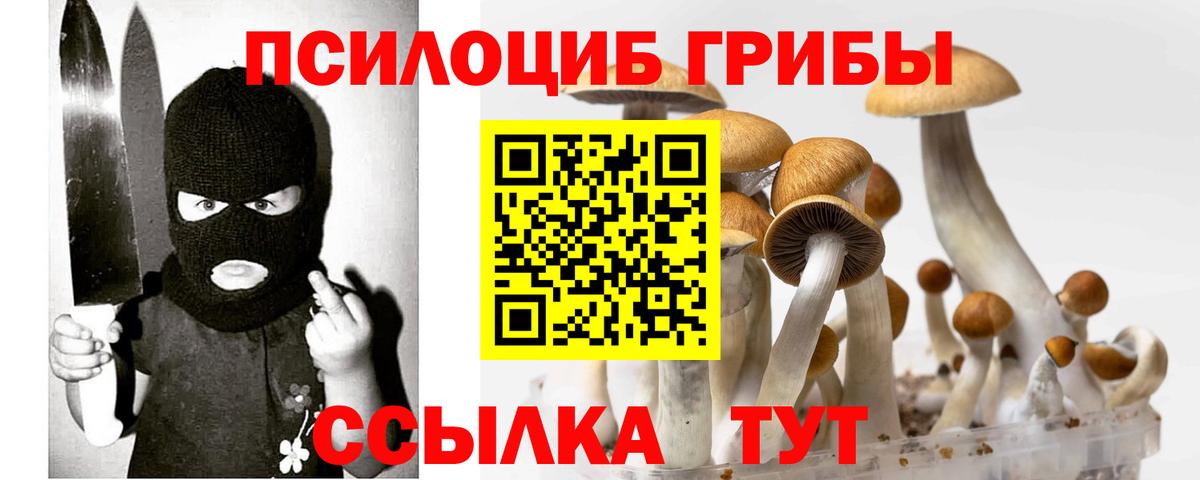 Псилоцибиновые грибы Psilocybe  Вход с VPN  Усинск 